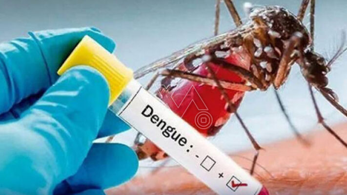 حالیہ بارشوں کے بعد ملک بھر میں ڈینگی کے کیسز میں اضافے کا خدشہ