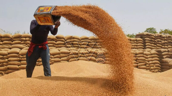 پاکستان کا متحدہ عرب امارات کی درخواست پر گندم مصنوعات برآمد کرنے کا فیصلہ