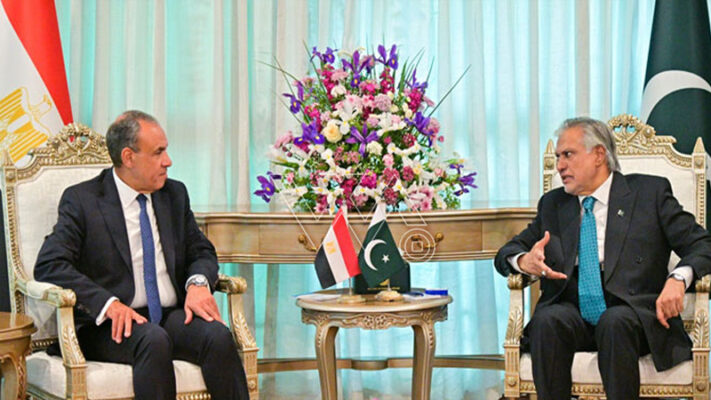 نائب وزیراعظم اسحاق ڈارکا مصری وزیرخارجہ سے رابطہ، امن و استحکام کیلئے ڈائیلاگ پر زور