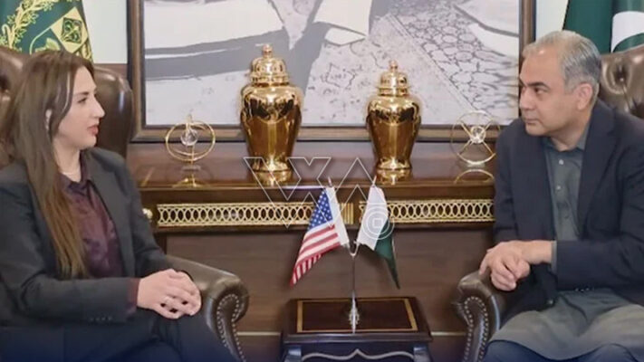 وزیرداخلہ کی امریکی سفیر سے ملاقات، اسلام آباد مذاکرات کےلیے سیکیورٹی انتظامات پر گفتگو