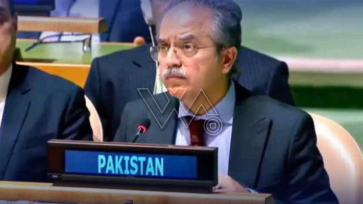 عاصم افتخار سلامتی کونسل خطاب