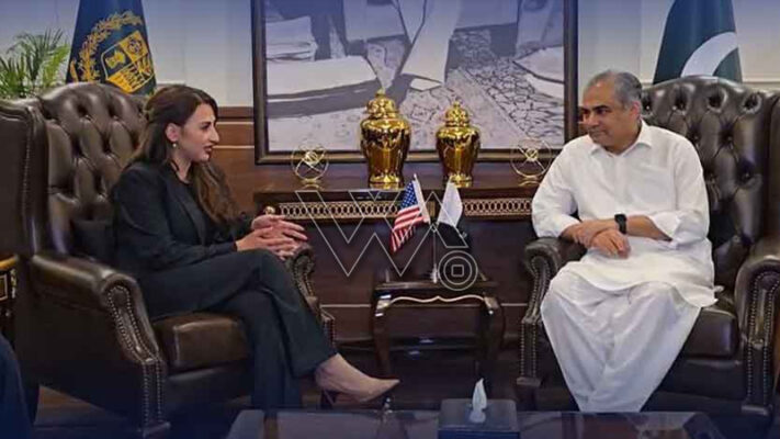 امریکی سفیر کی وزیر داخلہ سے ملاقات