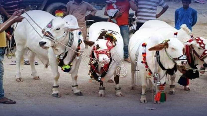 خیبر پختونخوا حکومت نےعیدالاضحٰی پر چار تعطیلات کا اعلان کر دیا