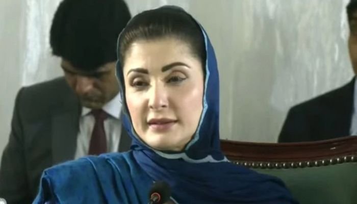 مسلم لیگ (ن) کو توڑنے یا تقسیم کرنے کی باتوں میں کوئی حقیقت نہیں، مریم نواز